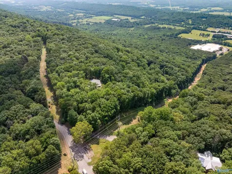 10895 County Road 89 Mentone AL 35984