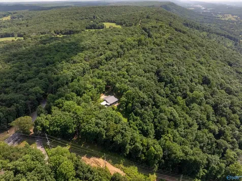 10895 County Road 89 Mentone AL 35984