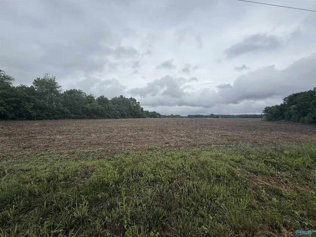 4 Pendergrass Road Flintville TN 37335