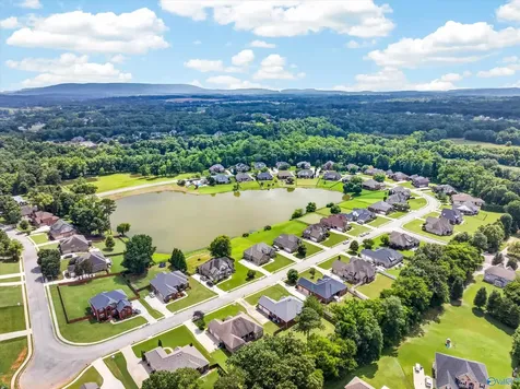 124 Riverway Lane New Market AL 35761
