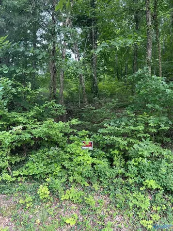 261 Snug Harbor Road Grant AL 35747