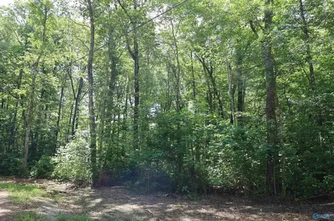 1.47 Acres Libby Lane Mentone AL 35984