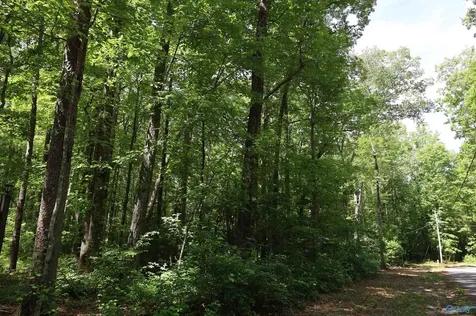 1.47 Acres Libby Lane Mentone AL 35984