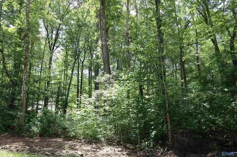 1.47 Acres Libby Lane Mentone AL 35984