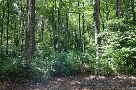 1.47 Acres Libby Lane Mentone AL 35984