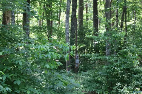 1.47 Acres Libby Lane Mentone AL 35984