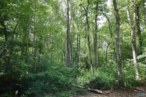 1.47 Acres Libby Lane Mentone AL 35984