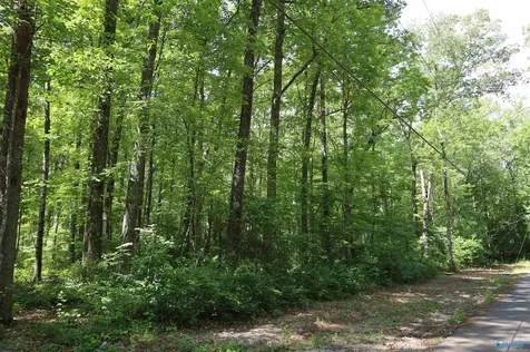 1.47 Acres Libby Lane Mentone AL 35984