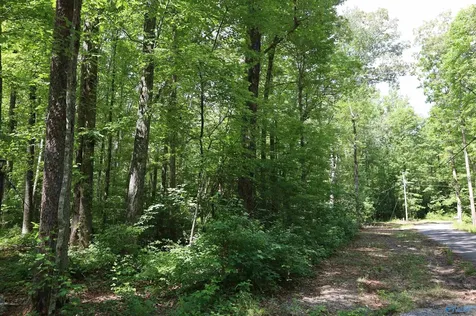 1.47 Acres Libby Lane Mentone AL 35984