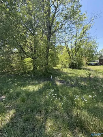 2906 Veterans Drive Scottsboro AL 35769