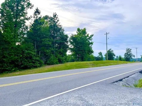 3.48 Acres Alabama Highway 227 Guntersville AL 35976