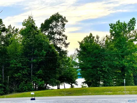 3.48 Acres Alabama Highway 227 Guntersville AL 35976