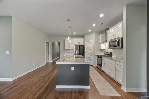 227 Paladin Street New Market AL 35761