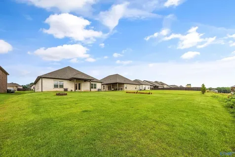 227 Paladin Street New Market AL 35761