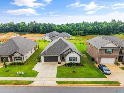 227 Paladin Street New Market AL 35761
