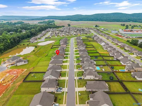 227 Paladin Street New Market AL 35761