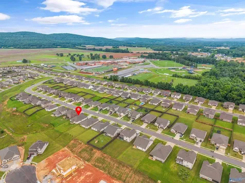 227 Paladin Street New Market AL 35761