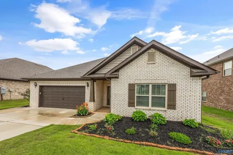227 Paladin Street New Market AL 35761
