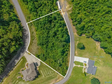 Lot 32 Keene Point Drive Grant AL 35747
