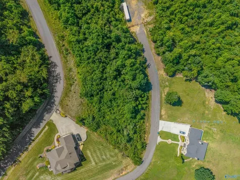 Lot 32 Keene Point Drive Grant AL 35747