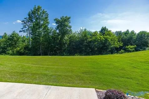 294 Whistling Straits Way Guntersville AL 35976
