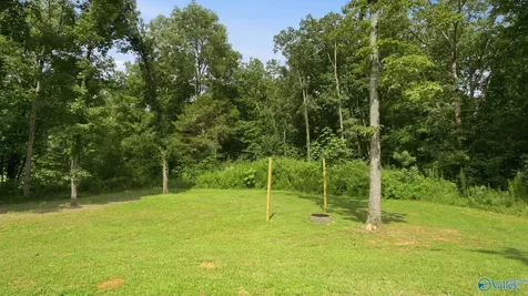 197 Winkles Road Grant AL 35747