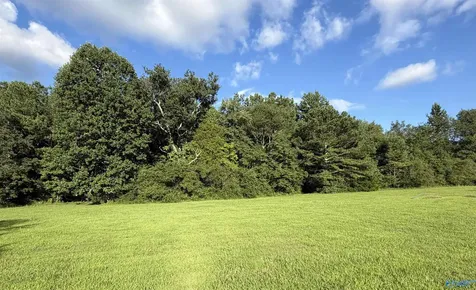 23930 Flanagan Road Athens AL 35614