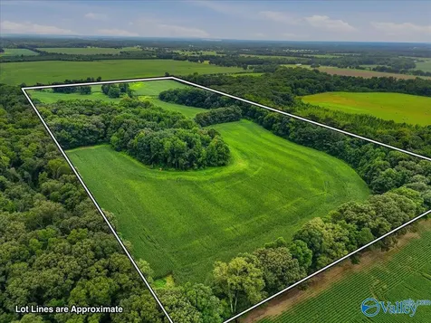 80 New Cut Road Athens AL 35611