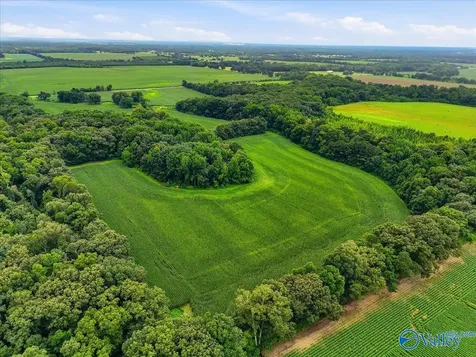 80 New Cut Road Athens AL 35611