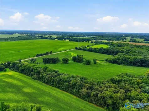 80 New Cut Road Athens AL 35611