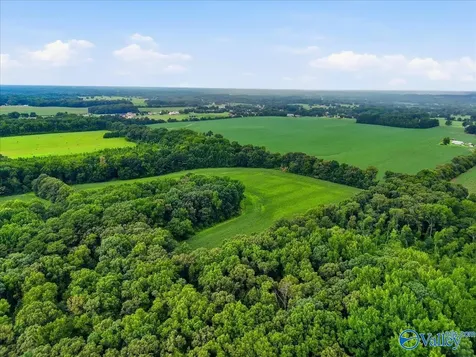 80 New Cut Road Athens AL 35611