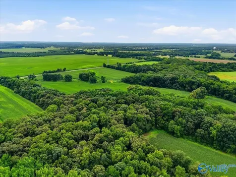 80 New Cut Road Athens AL 35611