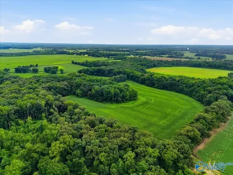 80 New Cut Road Athens AL 35611