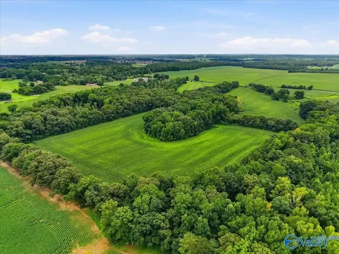 80 New Cut Road Athens AL 35611