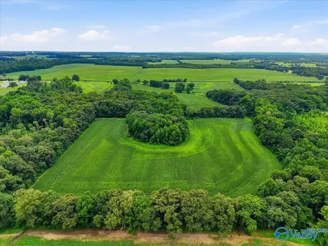 80 New Cut Road Athens AL 35611