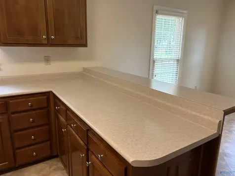 101 Hartington Drive Madison AL 35758