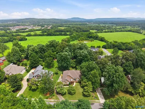 217 Raphael Road Madison AL 35757