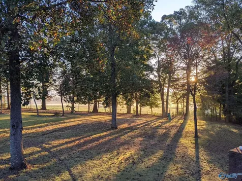 217 Raphael Road Madison AL 35757