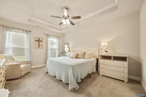 160 Rita Ann Way Meridianville AL 35759