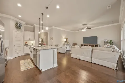 160 Rita Ann Way Meridianville AL 35759