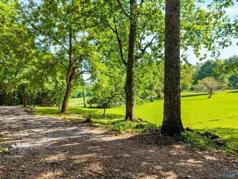 141 Deertrace Parkway New Market AL 35761