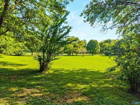 141 Deertrace Parkway New Market AL 35761