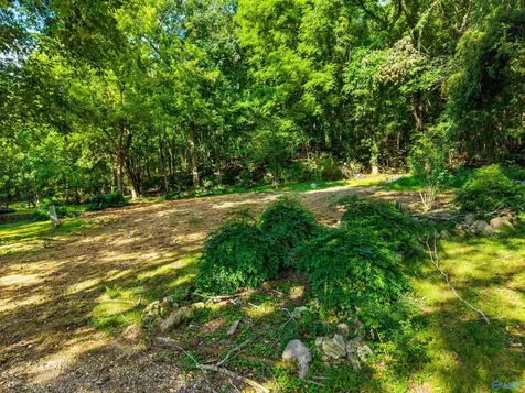 141 Deertrace Parkway New Market AL 35761