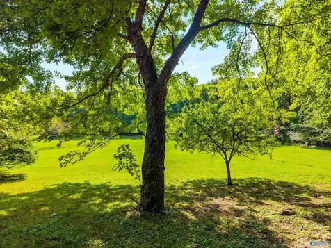 141 Deertrace Parkway New Market AL 35761