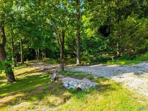 141 Deertrace Parkway New Market AL 35761