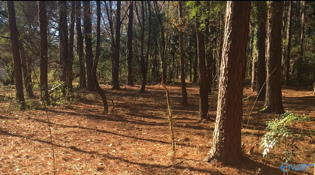 2.4 Acres Linde Street NW Huntsville AL 35810