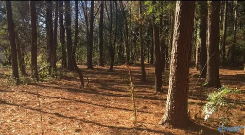 2.4 Acres Linde Street NW Huntsville AL 35810