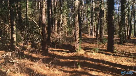 2.4 Acres Linde Street NW Huntsville AL 35810
