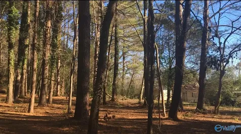 2.4 Acres Linde Street NW Huntsville AL 35810