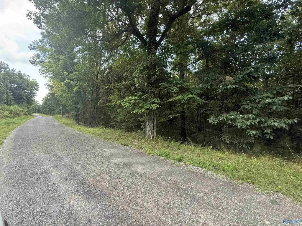 8 Acres Bishop Mountain Road Grant AL 35747